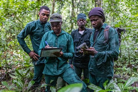 How to help stop poaching