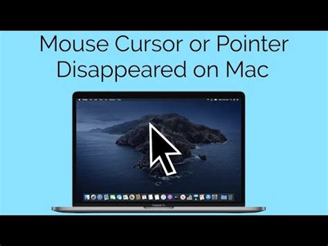 How to hide mouse cursor macbook air.  See examples of hide used in a sentence.  To conce...
