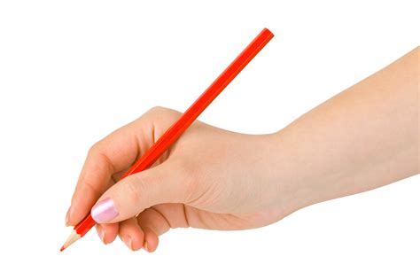How to hold a pencil. Things To Know About How to hold a pencil. 