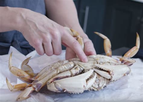 How to humanely kill, cook and crack Dungeness crab (new and …