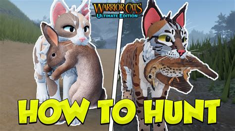 How to hunt in warrior cats roblox. The kit must learn how to hunt after it has been discovered the territory. To do so, students must master the art of stalking, chasing, and catching prey. ... However, some tips on becoming a good medicine cat in Warrior Cats Roblox include studying hard to learn about herbal medicine and practicing your skills often. In addition, it is ... 