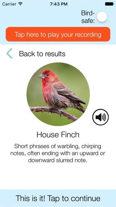 How to identify birdsong - Chirpomatic birdsong app