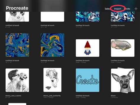 How to import pdf to procreate without losing quality. .  <a href=https://lake-cura...