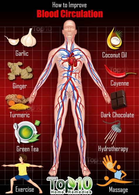 How to improve blood circulation in heart