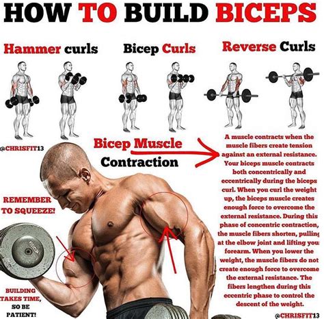 How to increase biceps in gym