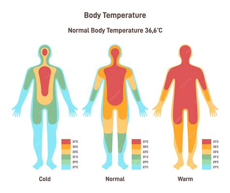 How to increase body temperature in hypothermia. .  <a href=https://tdkompany.ru/rp1e/ukuphupha-...