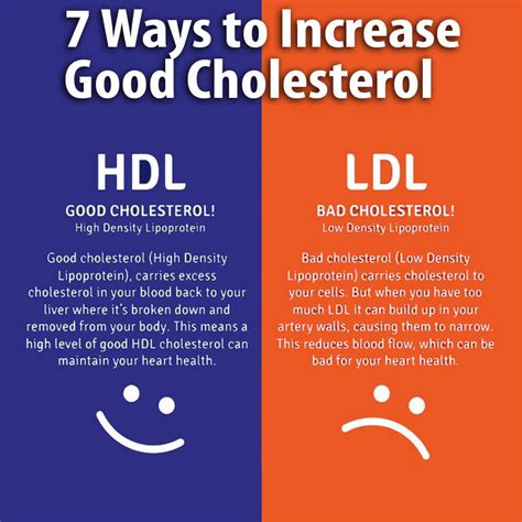 How to increase cholesterol in body