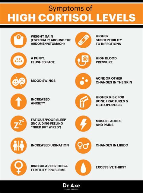 How to increase cortisol in your body