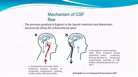 How to increase csf flow.  Managing stress levels can support CSF production...