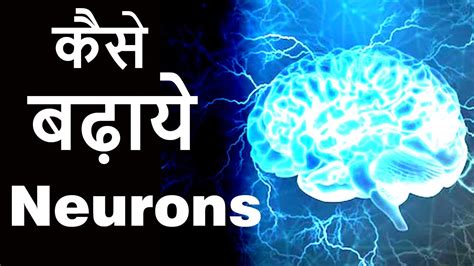 How to increase neurons in your brain