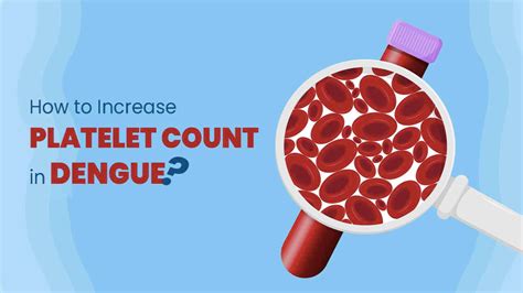 How to increase platelets in dengue patient