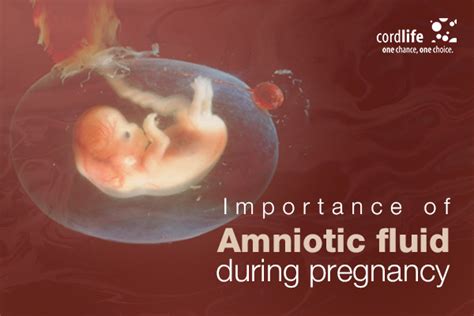 How to increase water level in womb