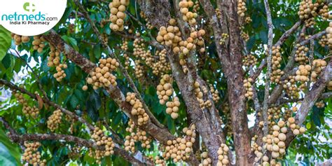 How to induce flowering in lanzones
