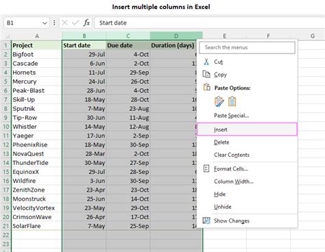 How to insert column in Excel single, multiple, every other