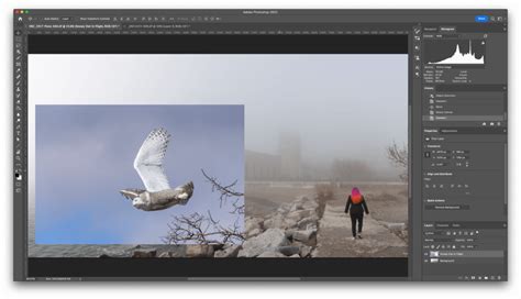 How to insert png image in photoshop