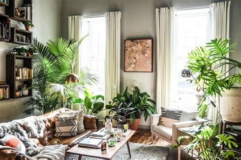 How to interior design with plants
