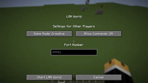 How to join another player in minecraft