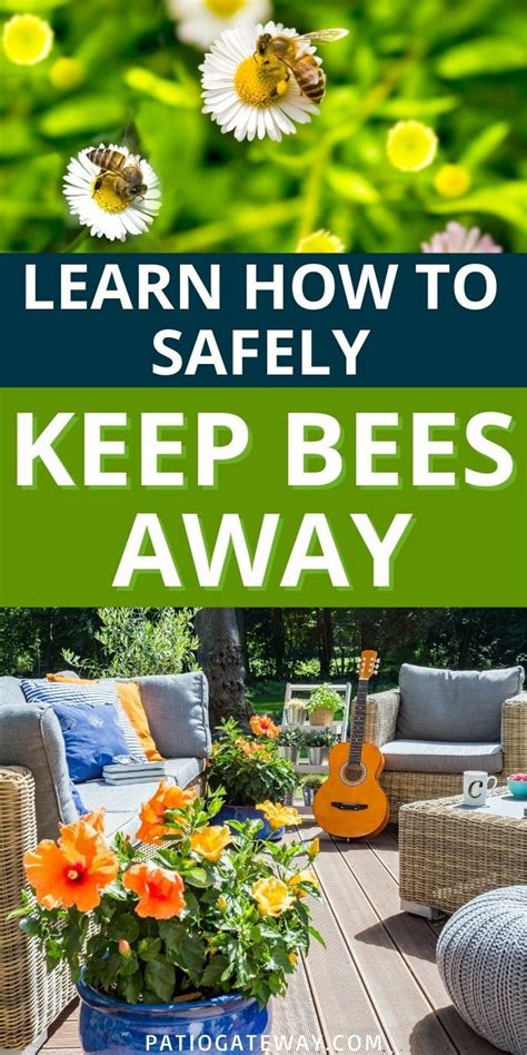 How to keep bees away. 20-May-2021 ... According to MyMove, one of the best ways to turn bees away is to just burn the same citronella candles you're already using to keep mosquitoes ... 
