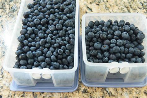 How to keep blueberries fresh in fridge