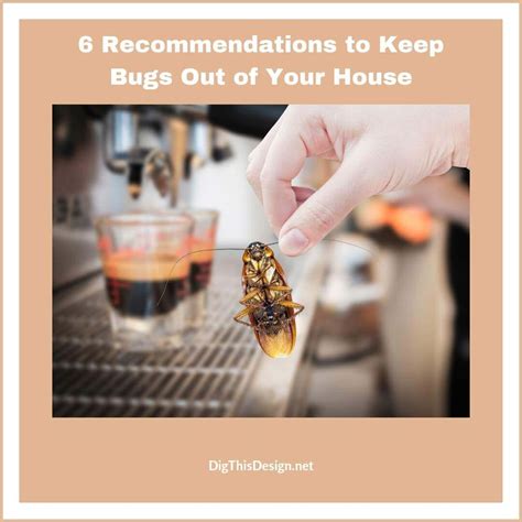 How to keep bugs out of house. Tidy your home and your yard. First of all, it’s imperative that you keep a clean and tidy … 