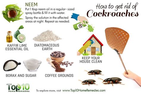 How to keep cockroaches away. Clean away food residue and grease in and around appliances. Keep the space beneath your kitchen sink clean and vacuum the kitchen floor nightly to avoid leftover crumbs from attracting attention. 4. Limit dining to one room. Cockroaches usually target the kitchen because it's the room where most food is stored and eaten. 