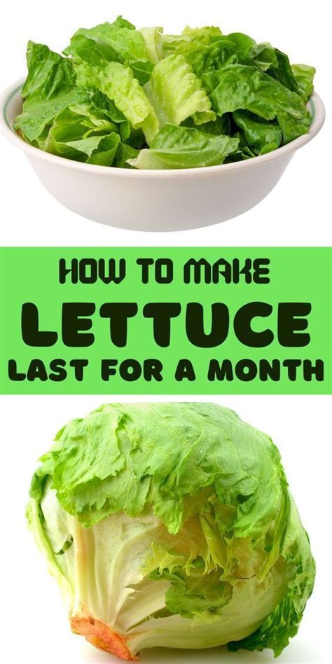 How to keep lettuce fresh for a month. .  <a href=https://doorhan-kupit.ru/bwo...