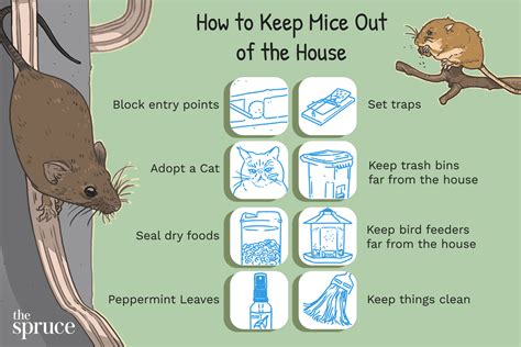 How to keep mice out of your house. NaturoBliss Peppermint Essential Oil is an excellent way to repel mice naturally. You can also try a pre-made spray such as Mighty Mint 16oz Peppermint Oil Rodent Repellent Spray. Set traps: If you notice signs of mice in your yard, consider setting traps to catch them before they become a bigger problem. 