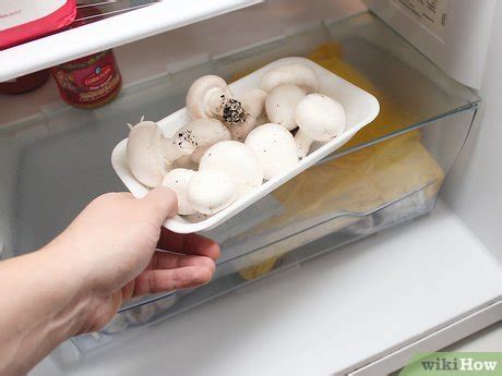 How to keep mushrooms fresh in fridge