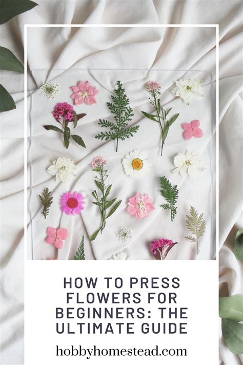 How to keep pressed flowers from turning brown.  Pressing flowers is the process of fl...