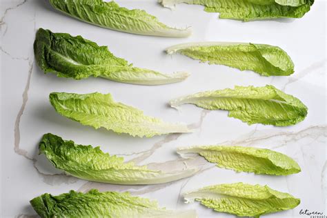 How to keep romaine lettuce crisp. .  <a href=https://helpme.approad.hu/...