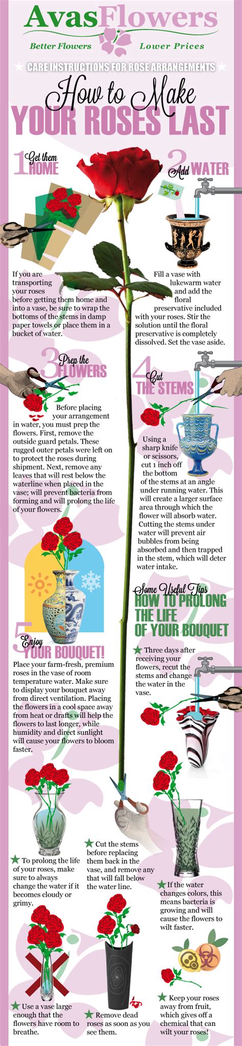 How to keep roses longer in vase