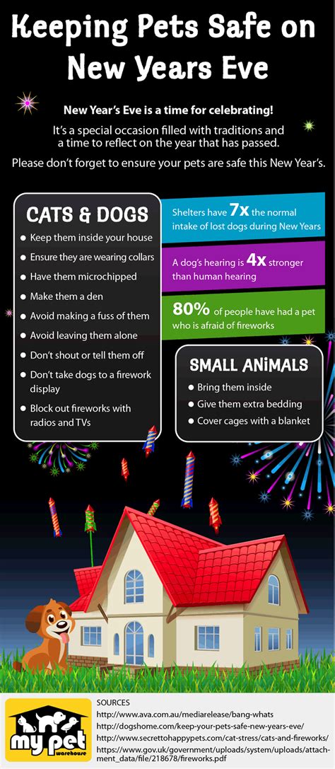 How to keep your pets safe on New Year's Eve