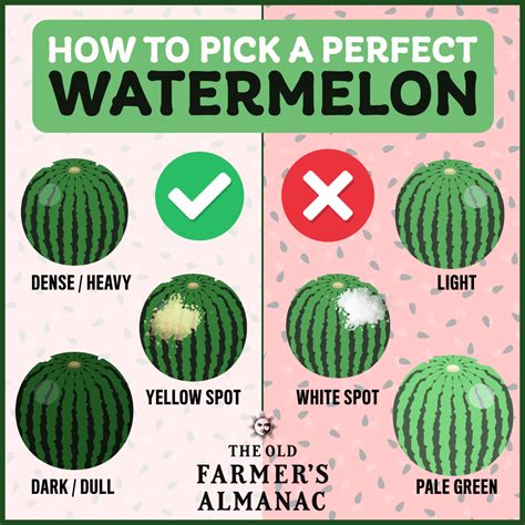 How to know a watermelon is ripe