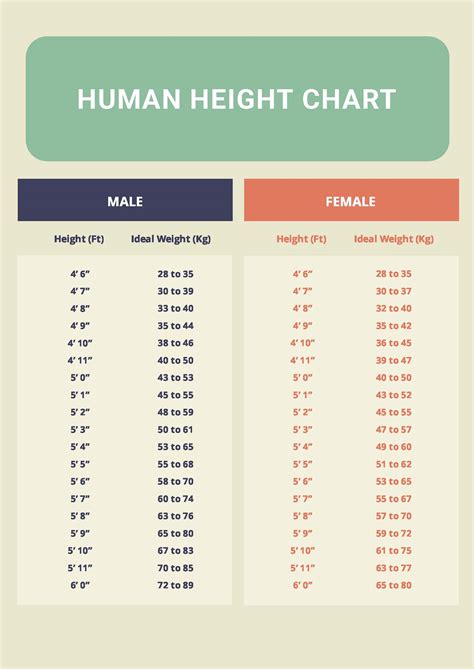 How to know your height in inches