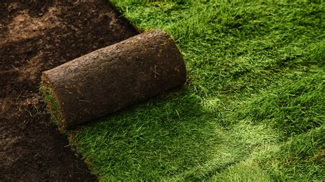 How to lay sod and upgrade your yard Tom s Guide