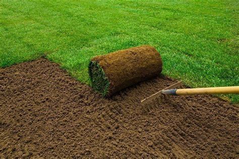 How to lay sod over existing lawn. Things To Know About How to lay sod over existing lawn. 