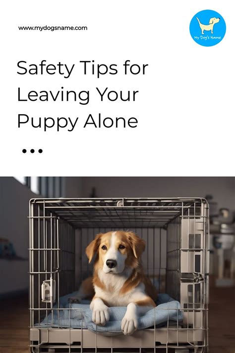 How to leave puppy in crate alone