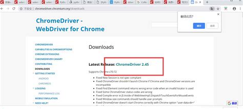 How to load unsafe scripts on chrome using webdriver.  This involves setting de...