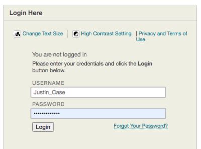 How to log in to Blackboard – FIT Information …