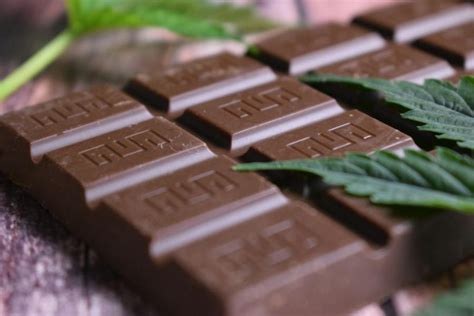 How to make Cannabis Infused Peanut Butter Chocolates - YouTube