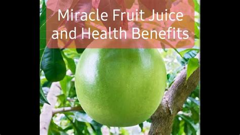 How to make Miracle Fruit Juice HubPages