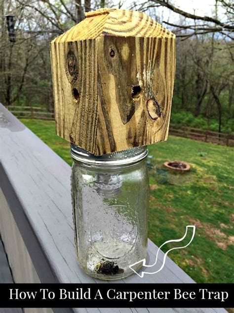 How to make a Carpenter Bee trap. Best Quick for FREE using scrap
