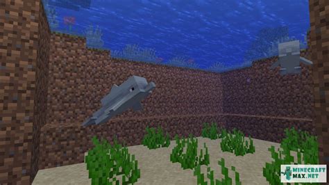 How to make a dolphin in minecraft