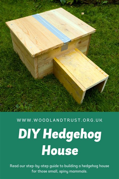 How to make a hedgehog house - Woodland Trust