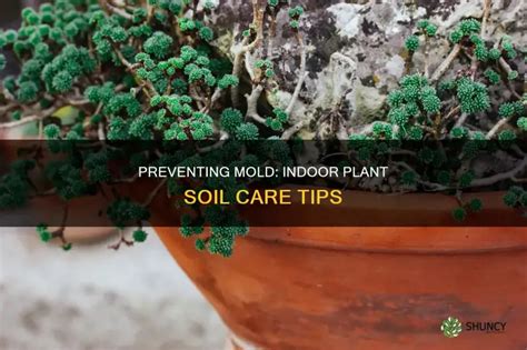 How to make a mould for casting.  Discover tips for preventing indoor mold gro...