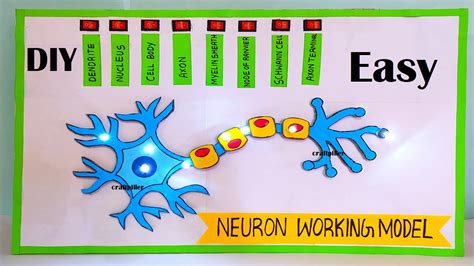 How to make a neuron with things from home YouTube