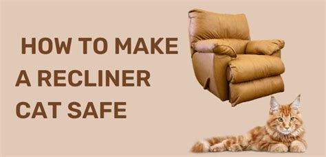 How to make a recliner cat safe: A guide for pet owners