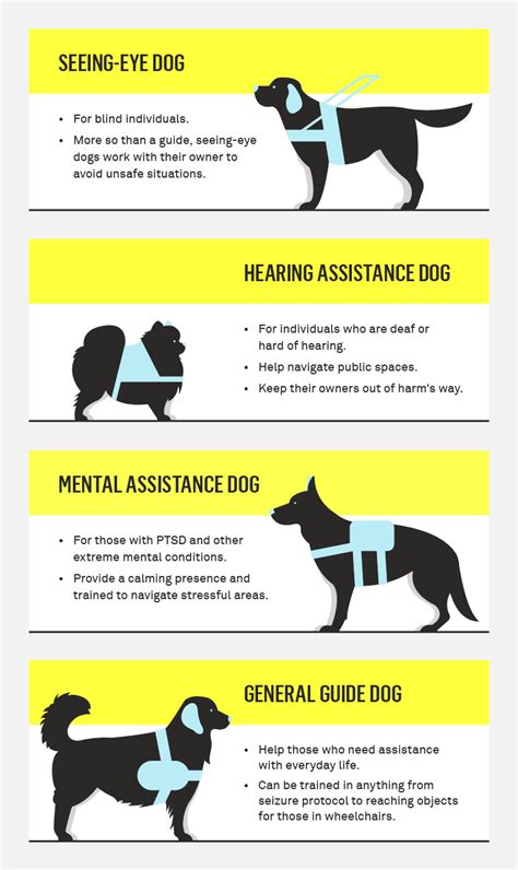 How to make a service dog. A service dog is simply one part of a good care plan. Whether it’s medication, counseling, physical therapy, diet, exercise, or something else, you should explore as many treatment options as you can and figure out what works for you. Be prepared for the times when your dog cannot or should not be working. 6. 