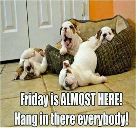 The 15 Funniest Friday Memes to Put You in the Best Mood Ever. These memes will make you even more excited than you already were. For obvious reasons, Fridays are one of our favorite days of the week. The workweek is done, the weekend is here, and it's the perfect day to kick back with a glass of wine and your favorite people …. 