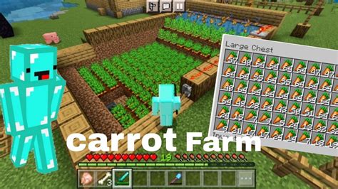 How to make carrot farm in minecraft